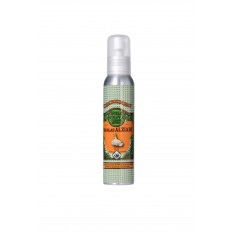 GARLIC - Food preparation based on olive oil and natural GARLIC flavour 100ml (pump)