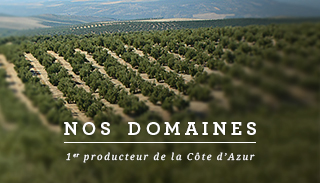 Our domains : 1st producer of Alpes-Maritimes