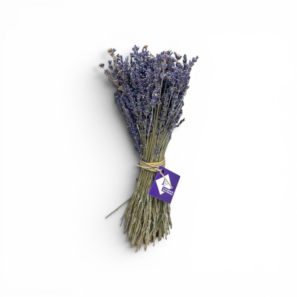 Bouquet of French lavender