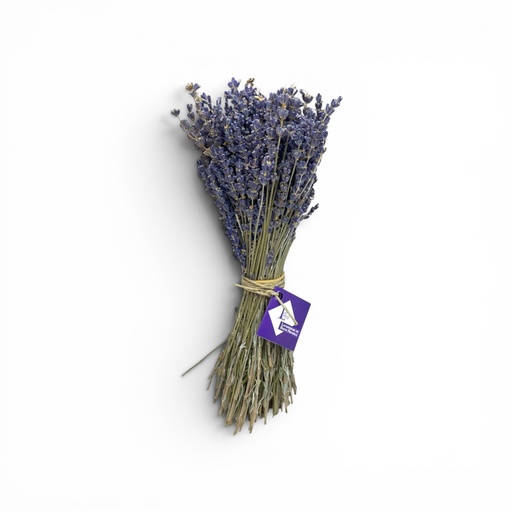 [5127] Bouquet de Lavande de France