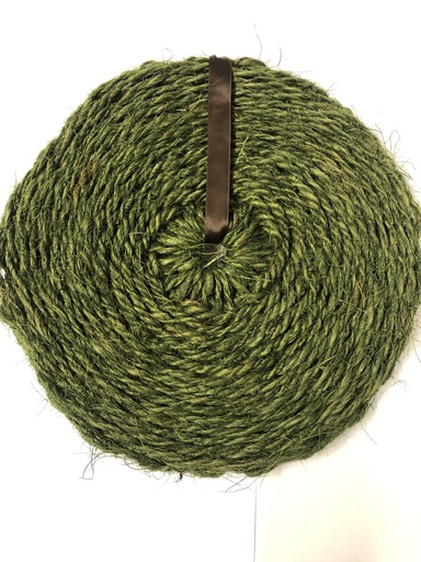 [140] scourtin diam 25  vert  (prairie)